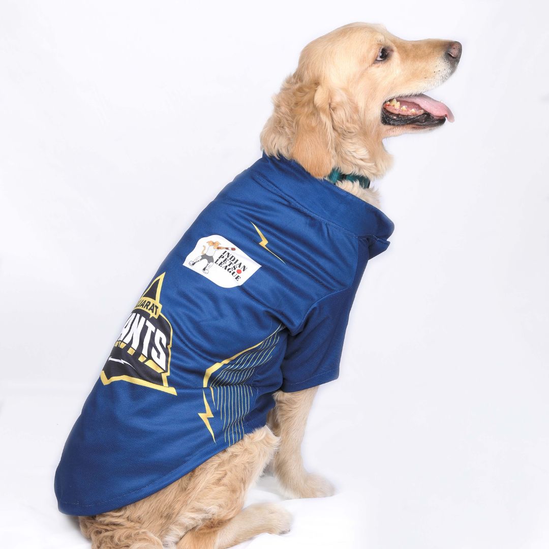 Gujarat Titans Pet Jersey