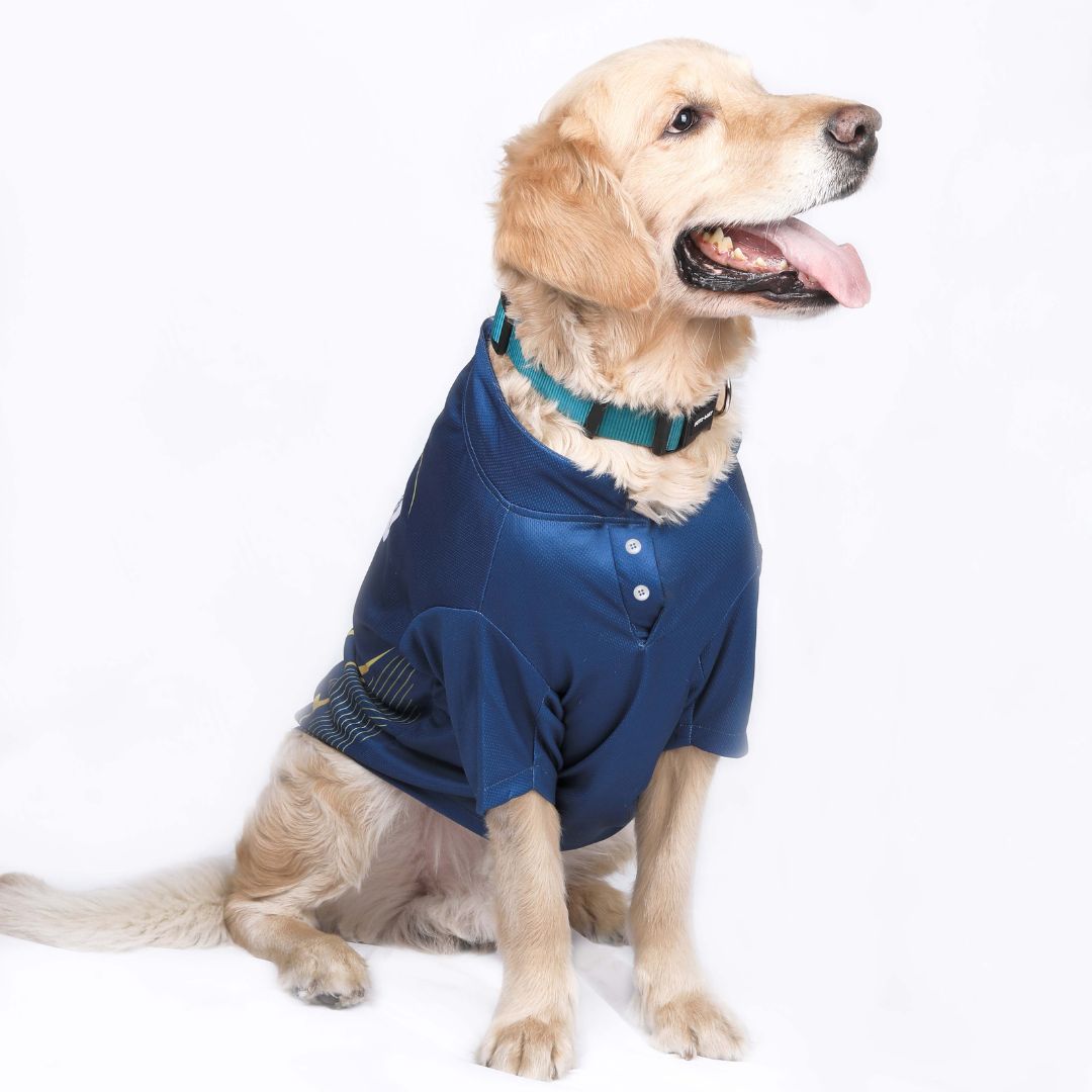IPL Dog Outfit