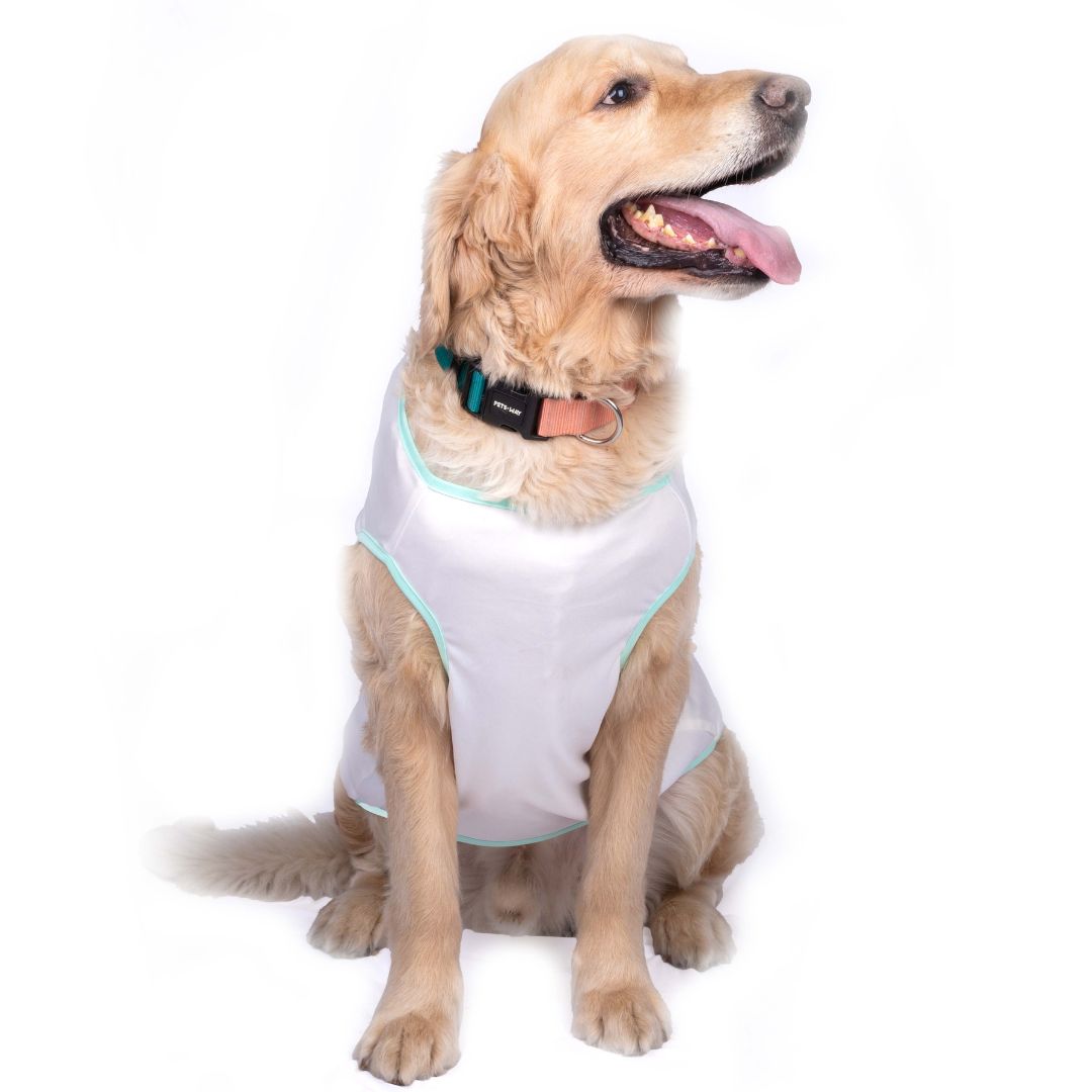 Holi Vest - White - Pets Way