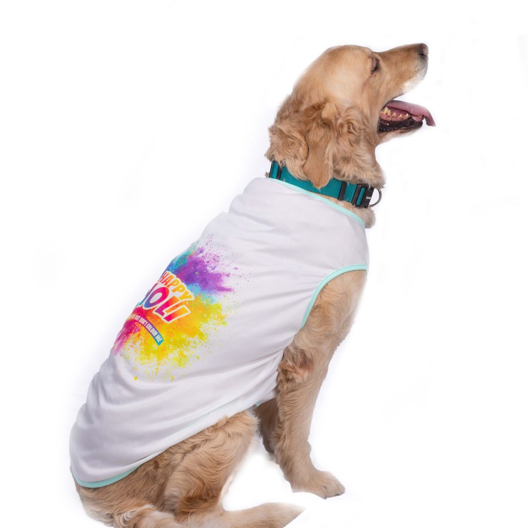 Holi Vest - White - Pets Way