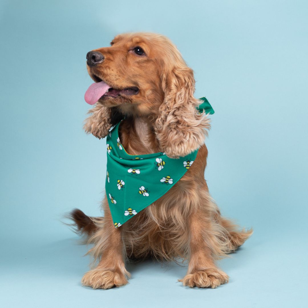 dog wear  Cute Honey Bee Bandana-petsway