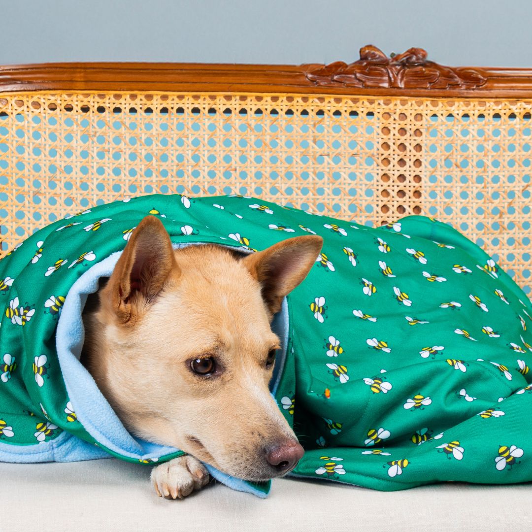 Warm Honey Bee Blanket Petsway