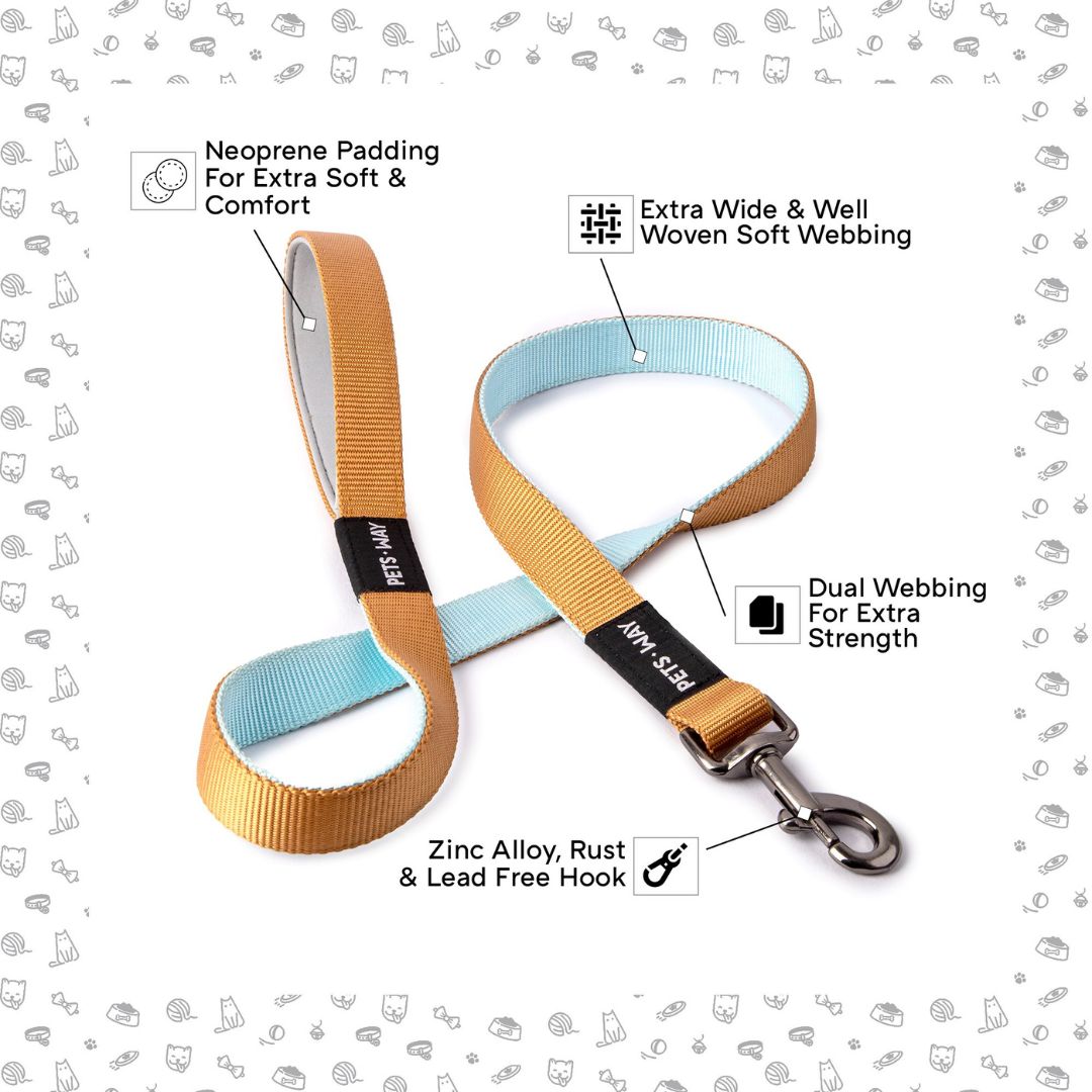 feature image of Honey Sky Dual Leash-petsway