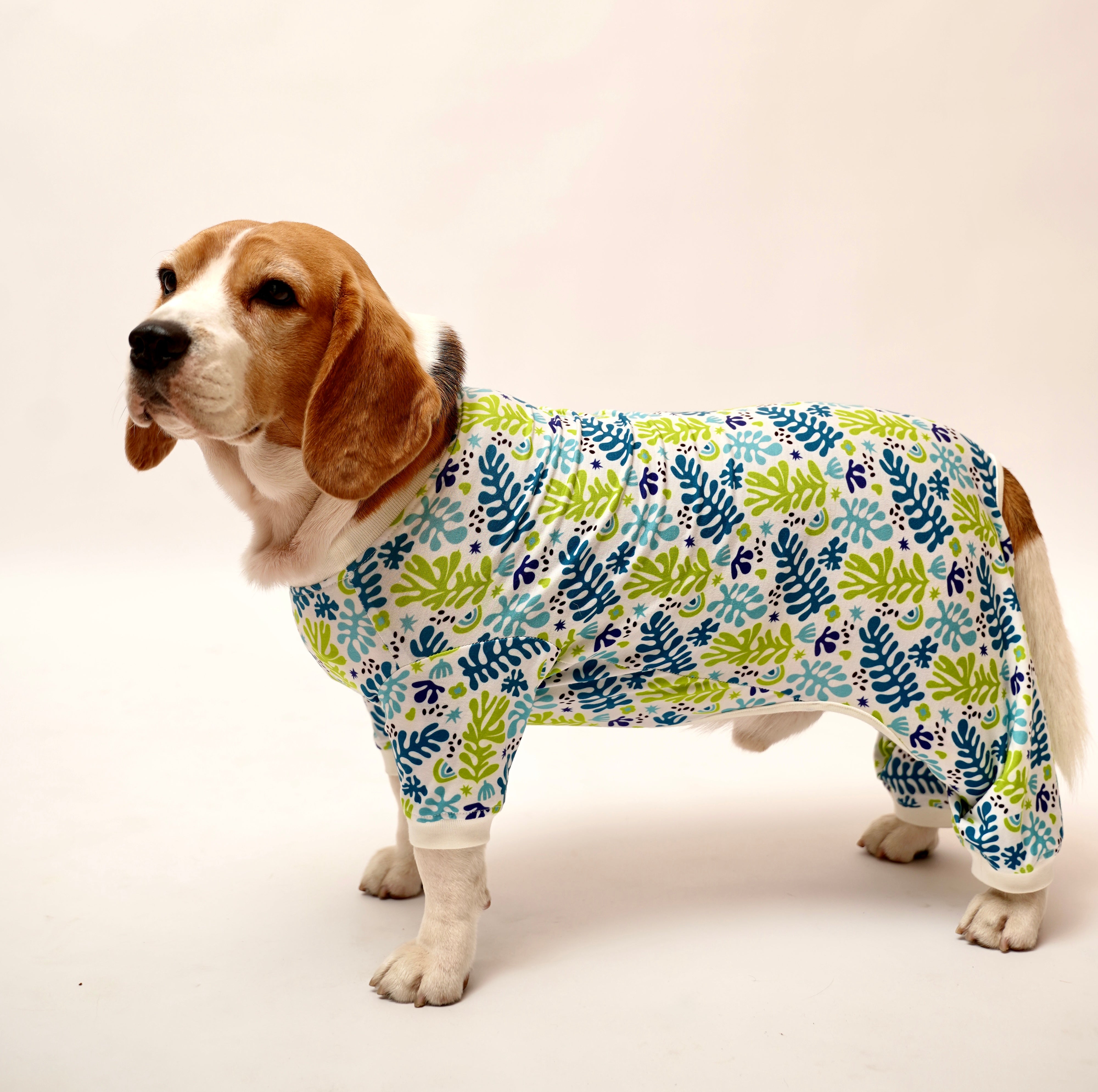 Fern Printed Dog Jumpsuit