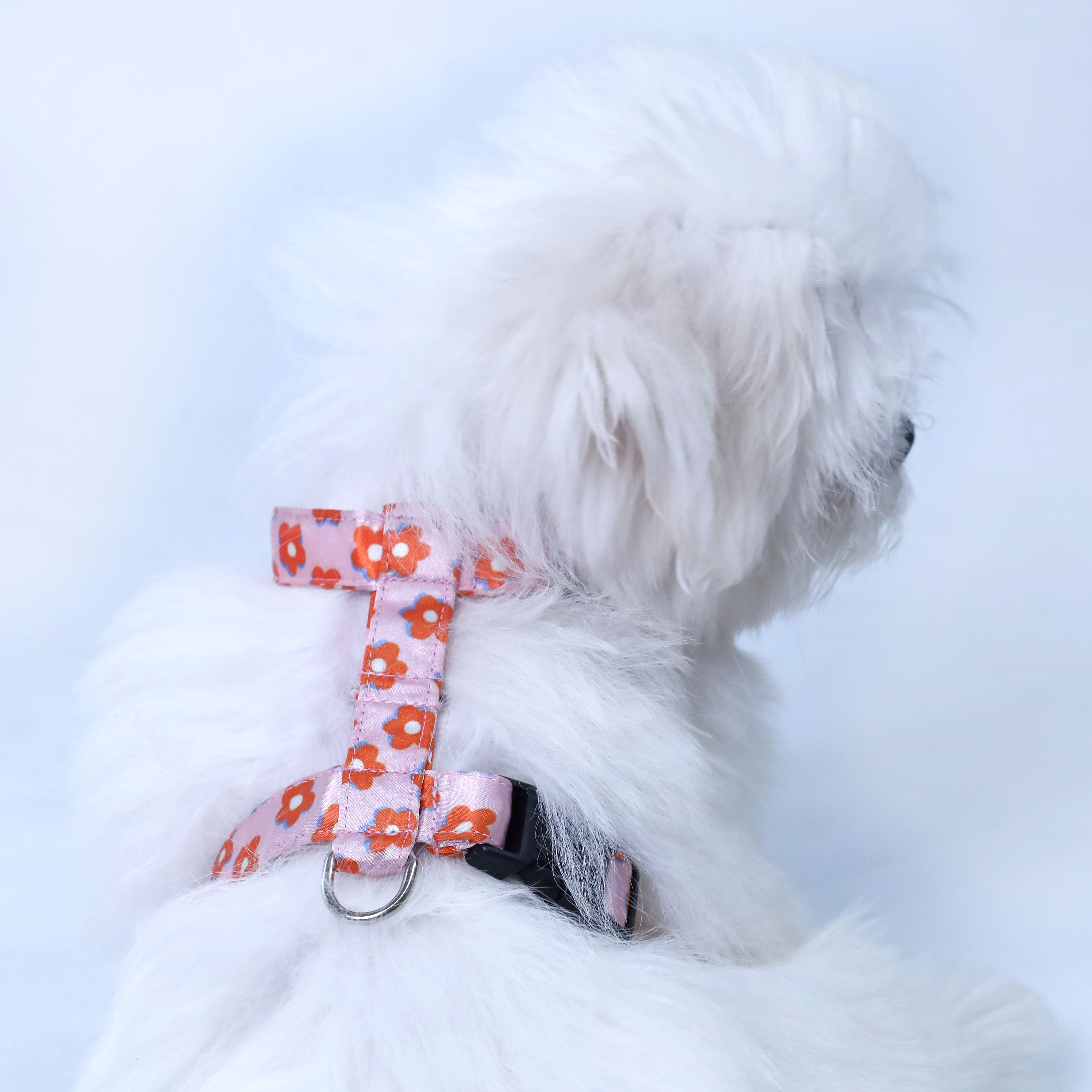 Pawfect Flower Puppy & Cat Collar Leash Harness Set