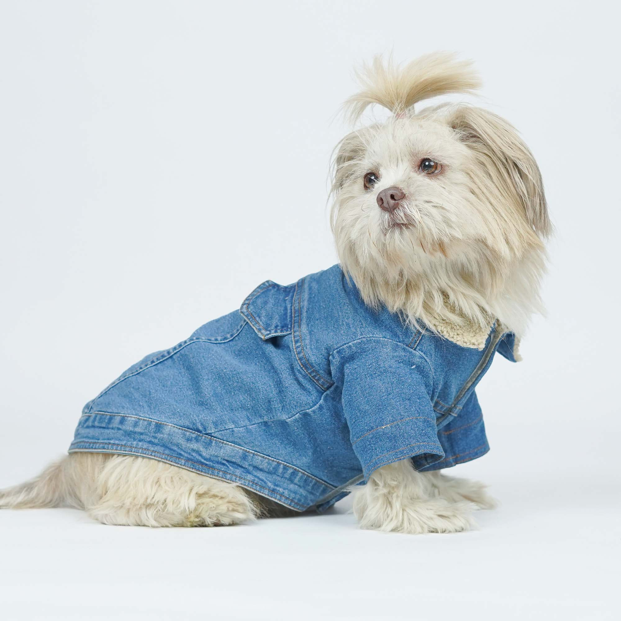 Paw-Gun Ice Blue Denim Dog Jacket