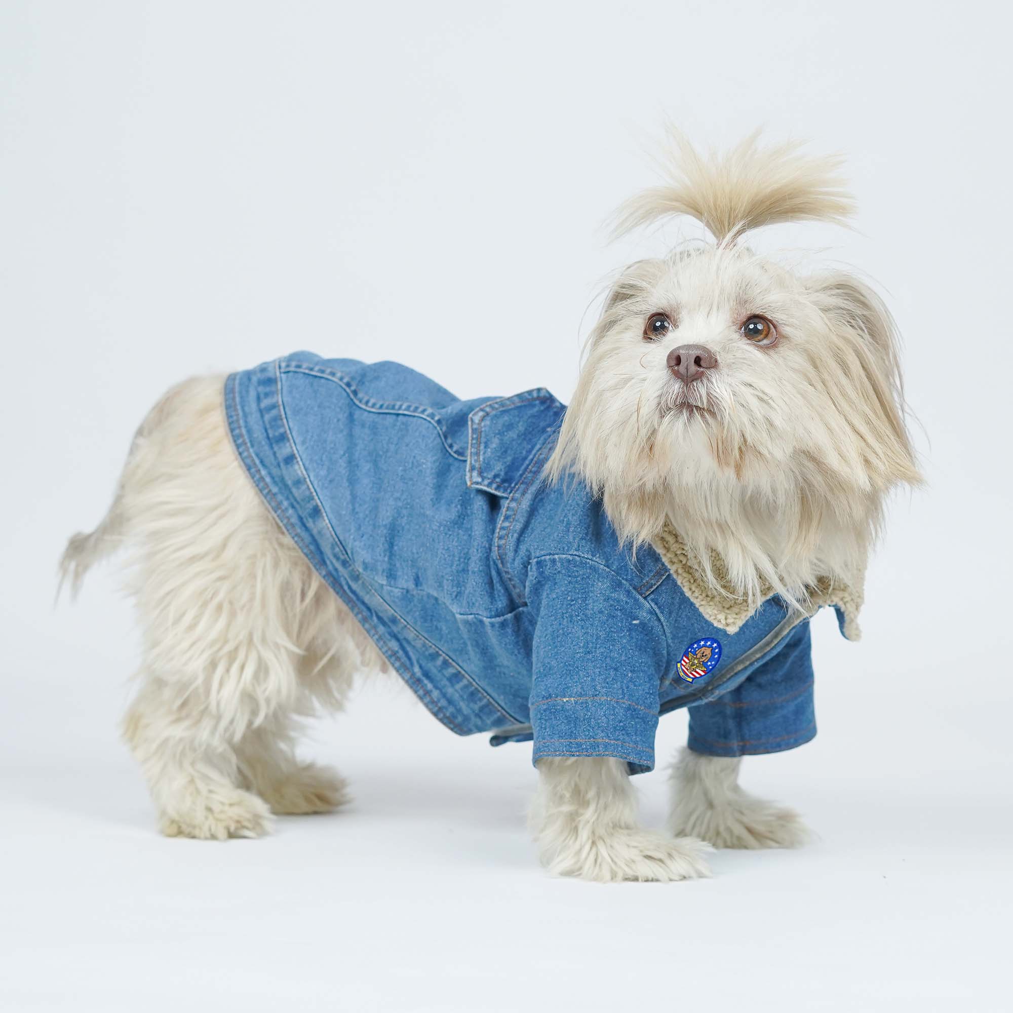 Paw-Gun Ice Blue Denim Dog Jacket
