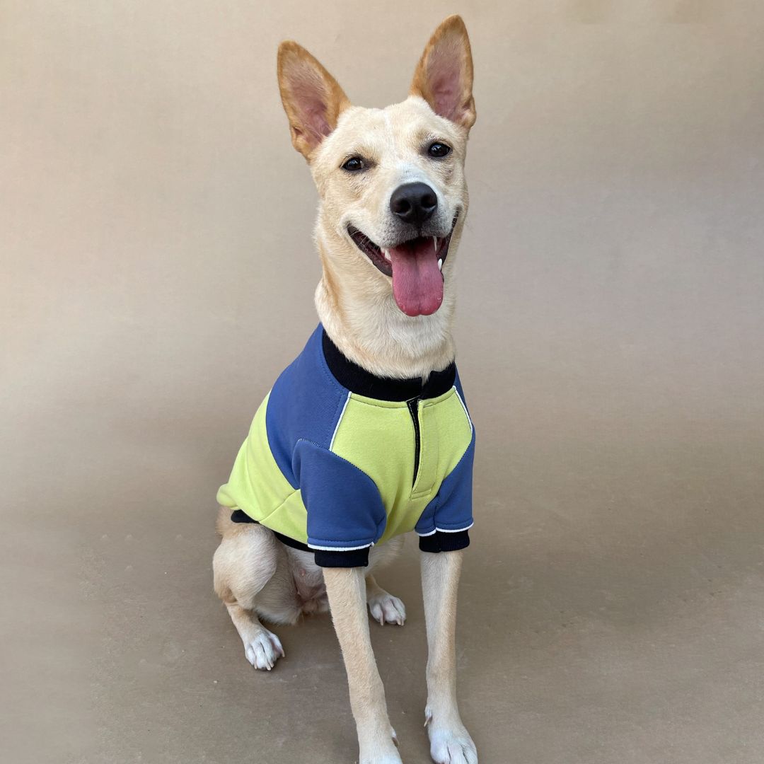 Stylish Ice Fall Dog Sweatshirt Petsway