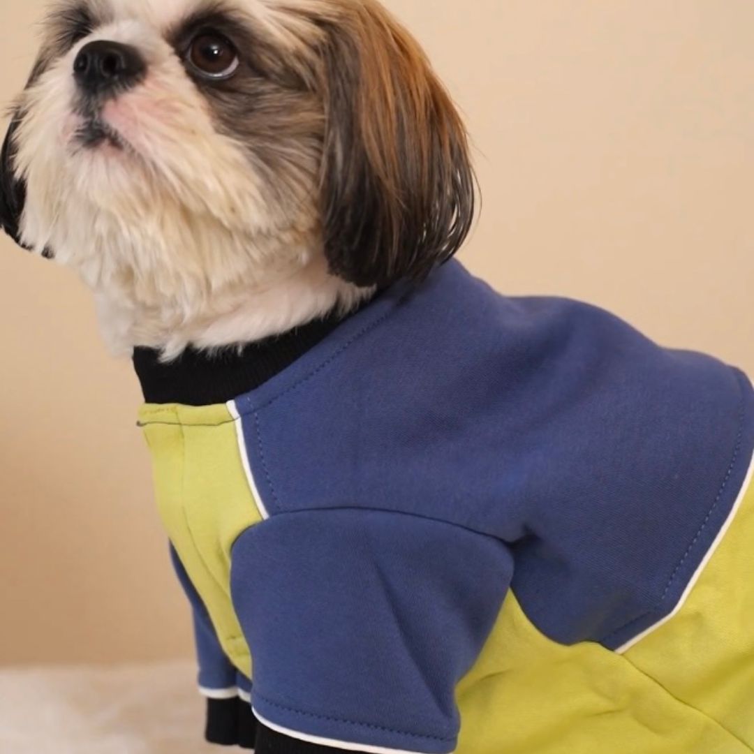 Comfort & Cozy Ice Fall Dog Sweatshirt Petsway