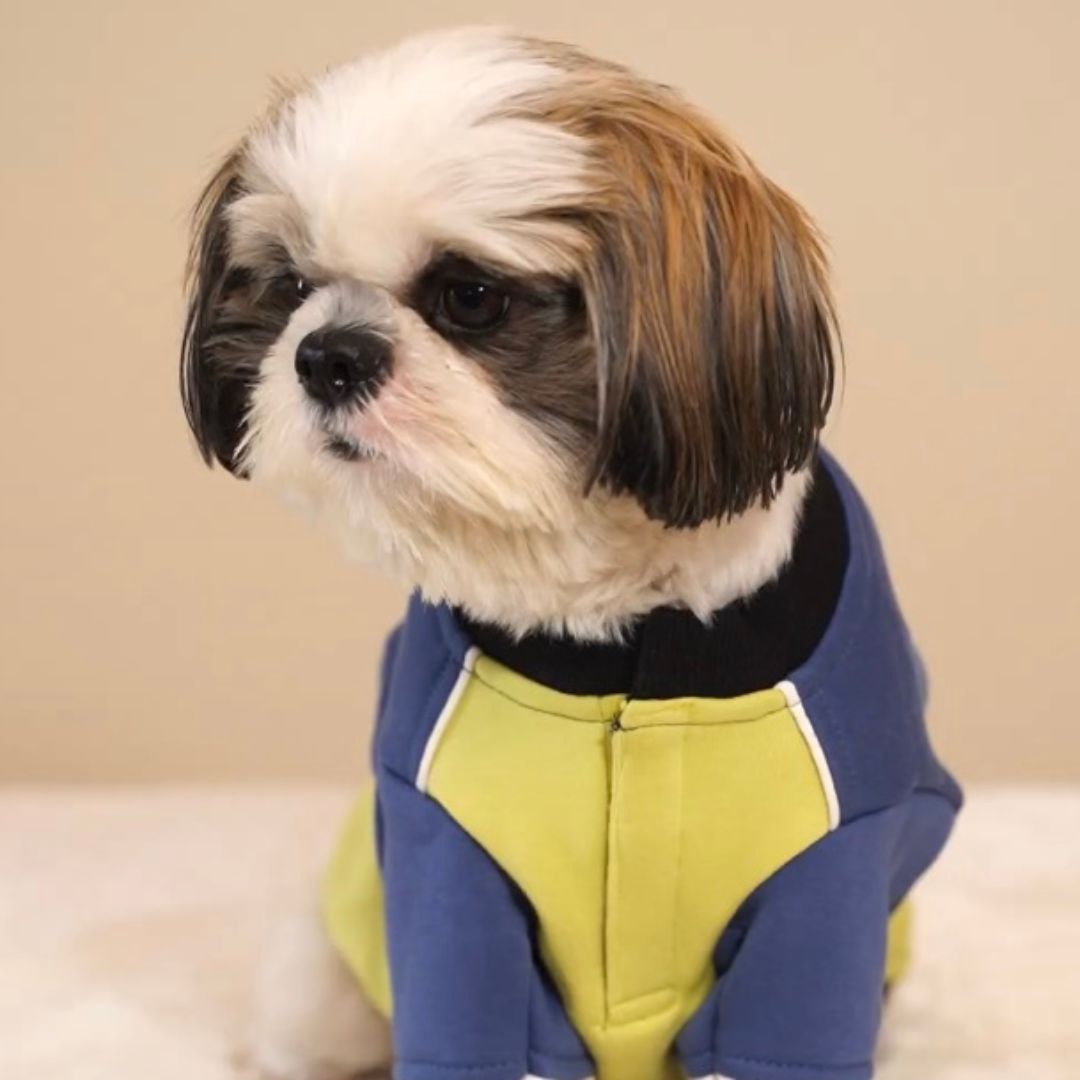 Warm Perfect for every breed Petsway