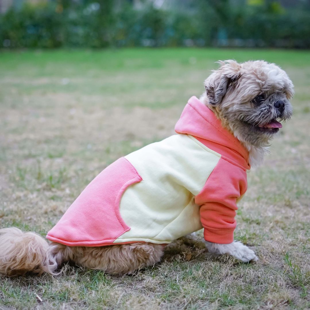 Cozy/comfy Icy Peak SweatShirt Petsway