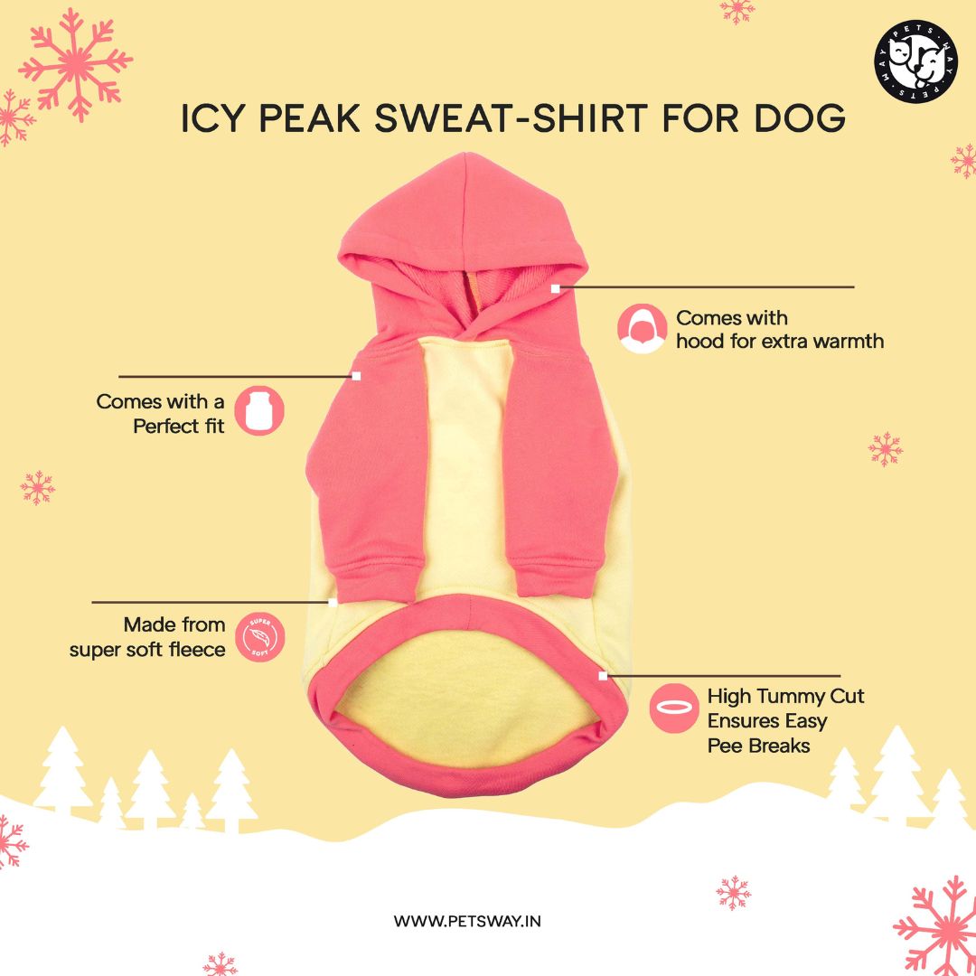 Featured image of Icy Peak Sweat Shirt For Dog Petsway