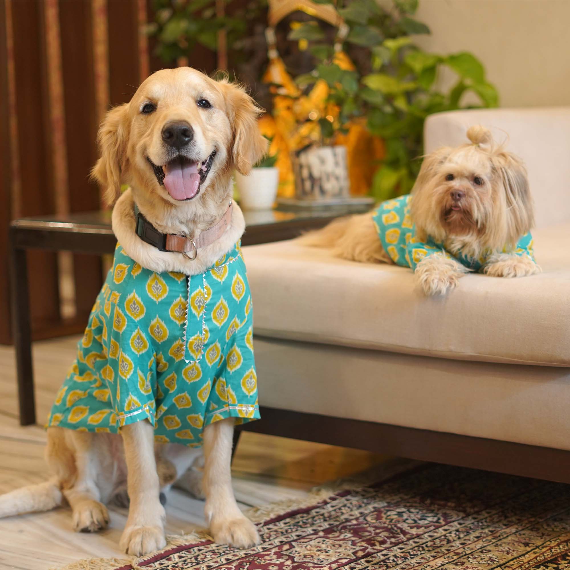 Ikat - Teal Dog kurta
