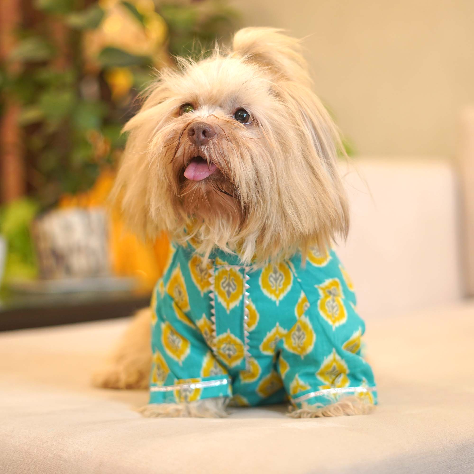 Patola Ikat - Dog Kurta Combo