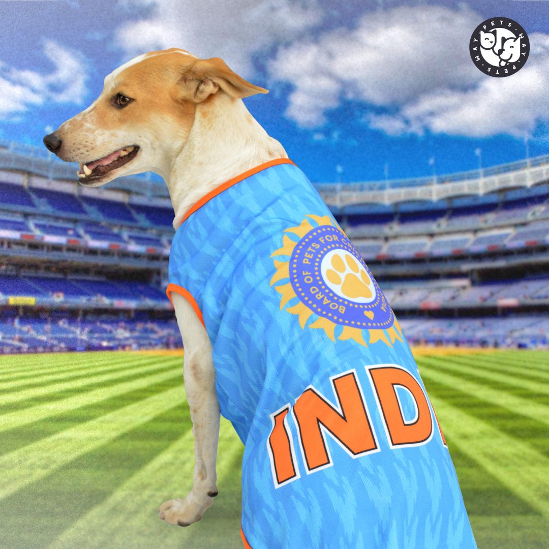 dog wear  India Cricket Dog Jersey-petsway