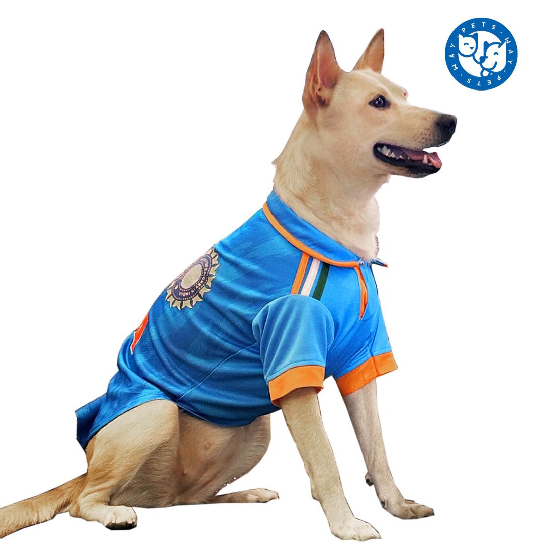 setting dog wear India Cricket Dog Jersey-petsway