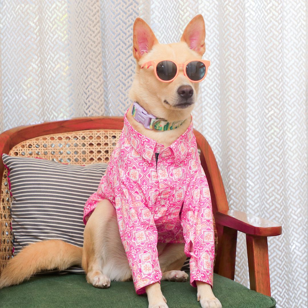 dog wear Jaipur Dog Shirt-petsway