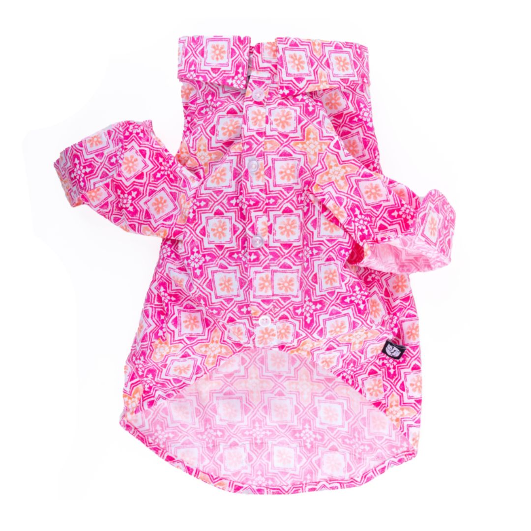 front of Jaipur Dog Shirt-petsway