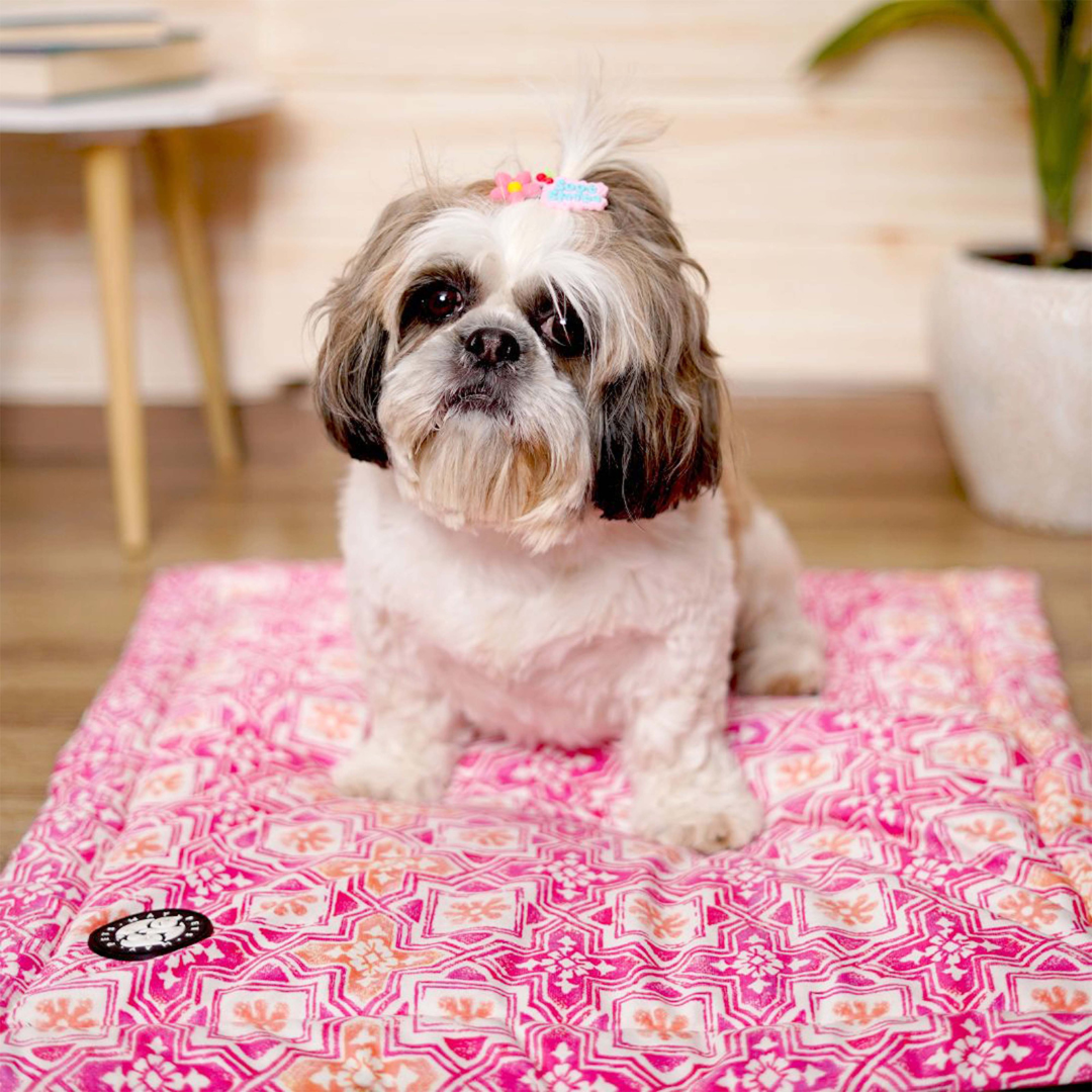 Dog Sleeping Mat Petsway