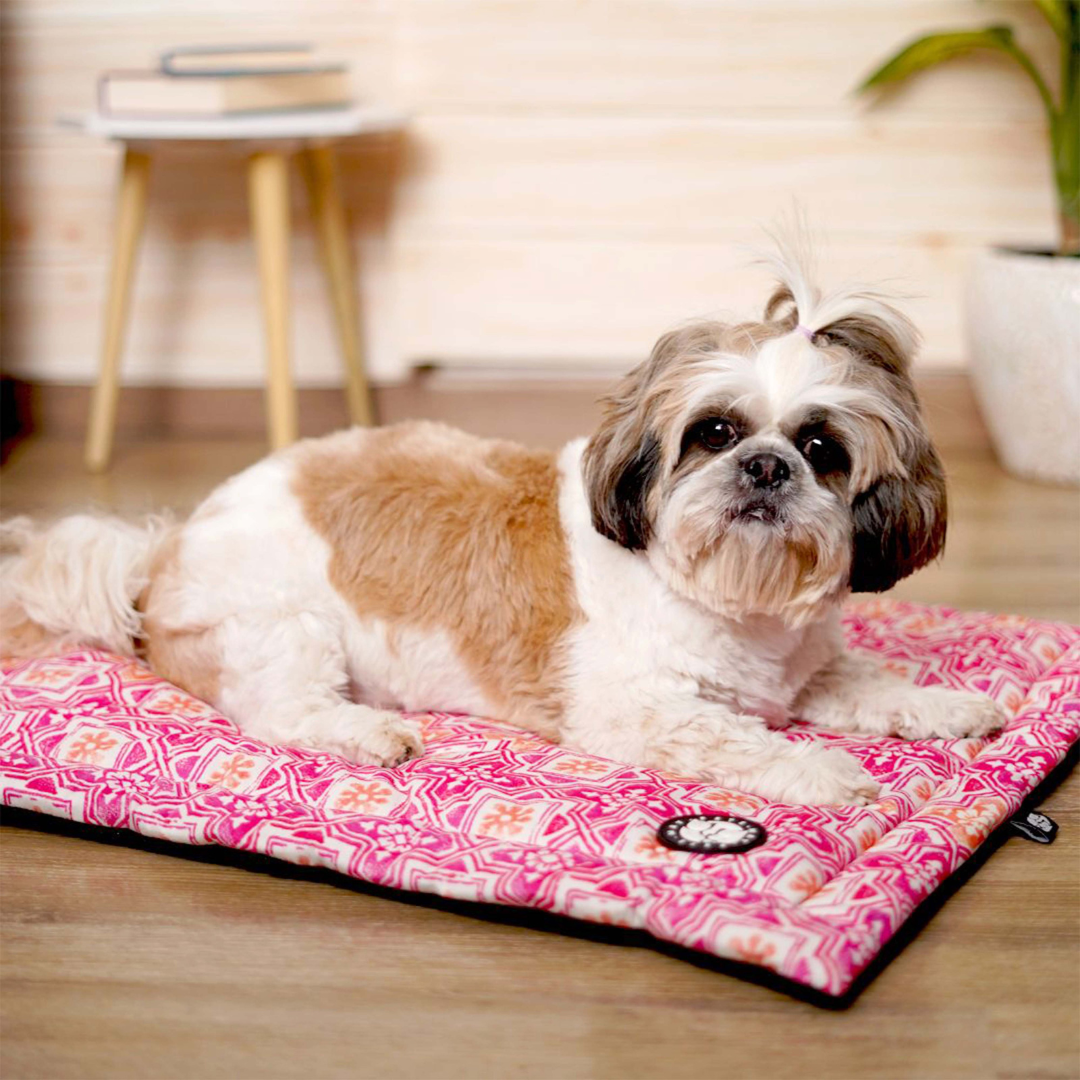 Adorable Jaipur Mat for Dogs Petsway