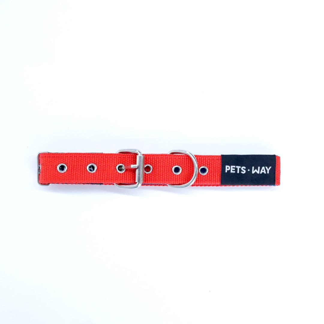 Dog collar in jam color-petsway