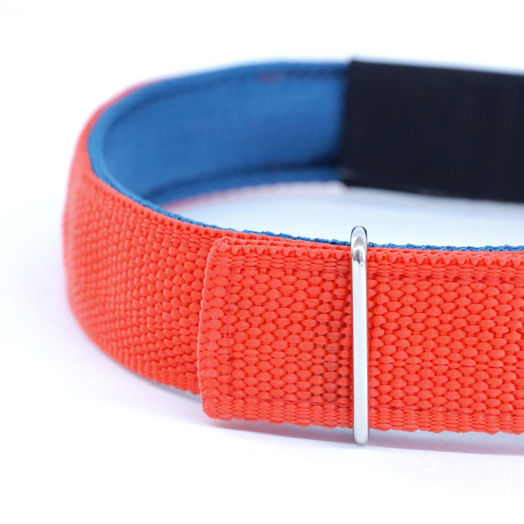 stylish dog collar