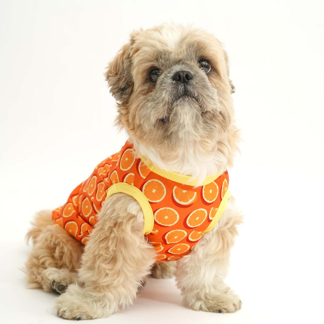 dog wear Juicy Printed Dog Vest-petsway