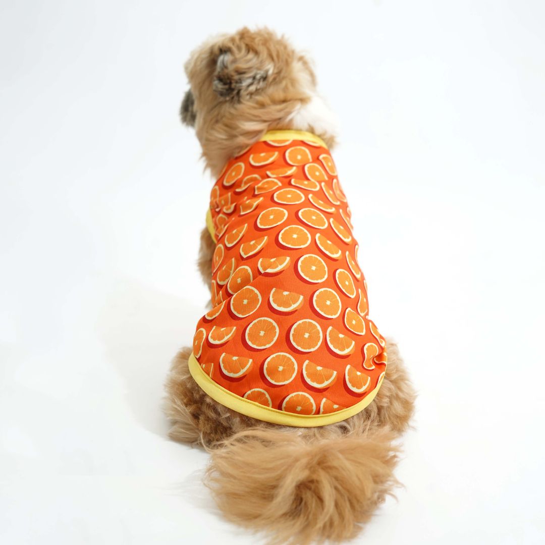 dog wear back side of Juicy Printed Dog Vest-petsway