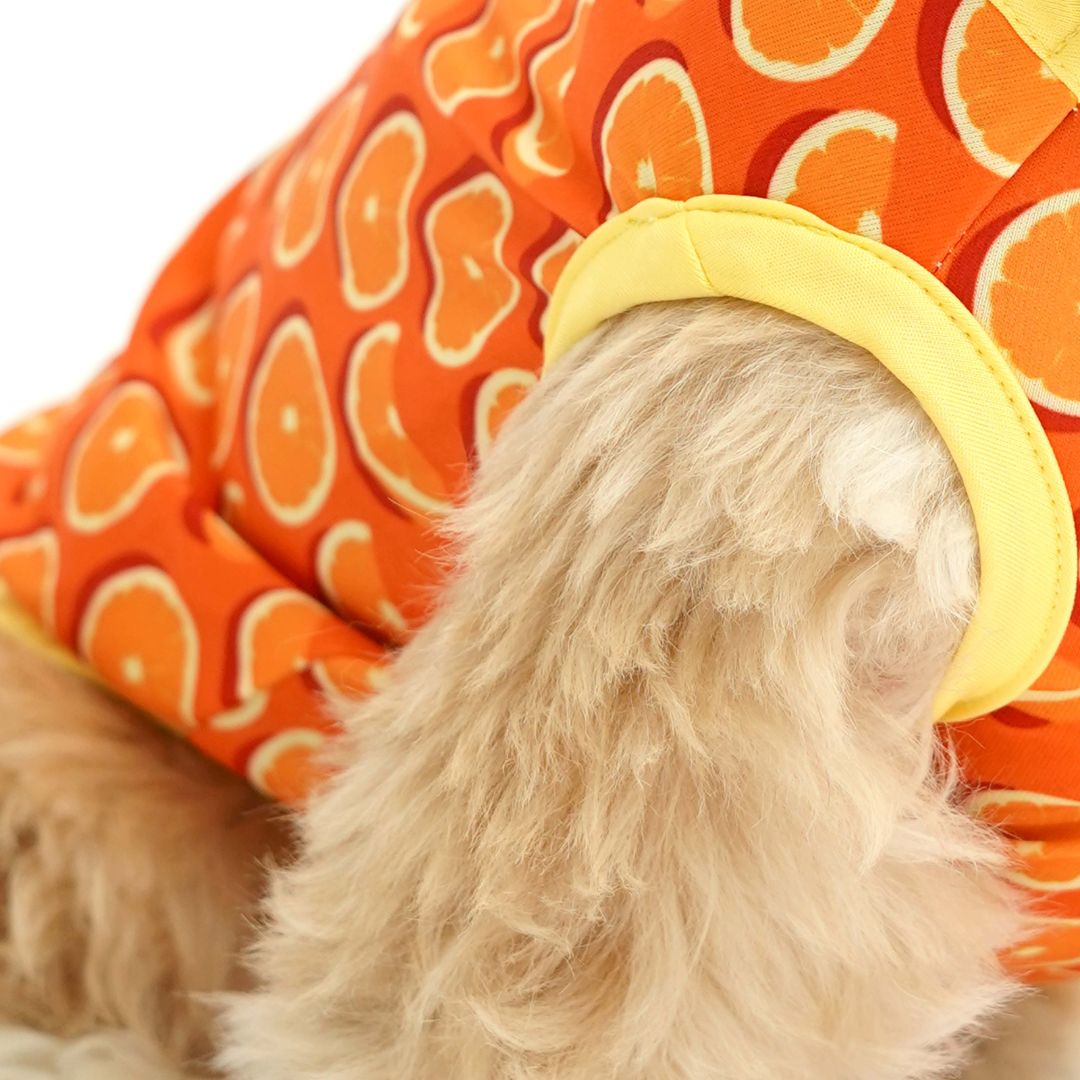 dog seelev of Juicy Printed Dog Vest-petsway