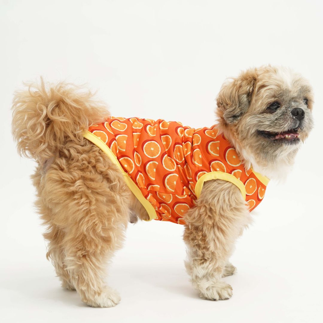 standing dog wear Juicy Printed Dog Vest-petsway