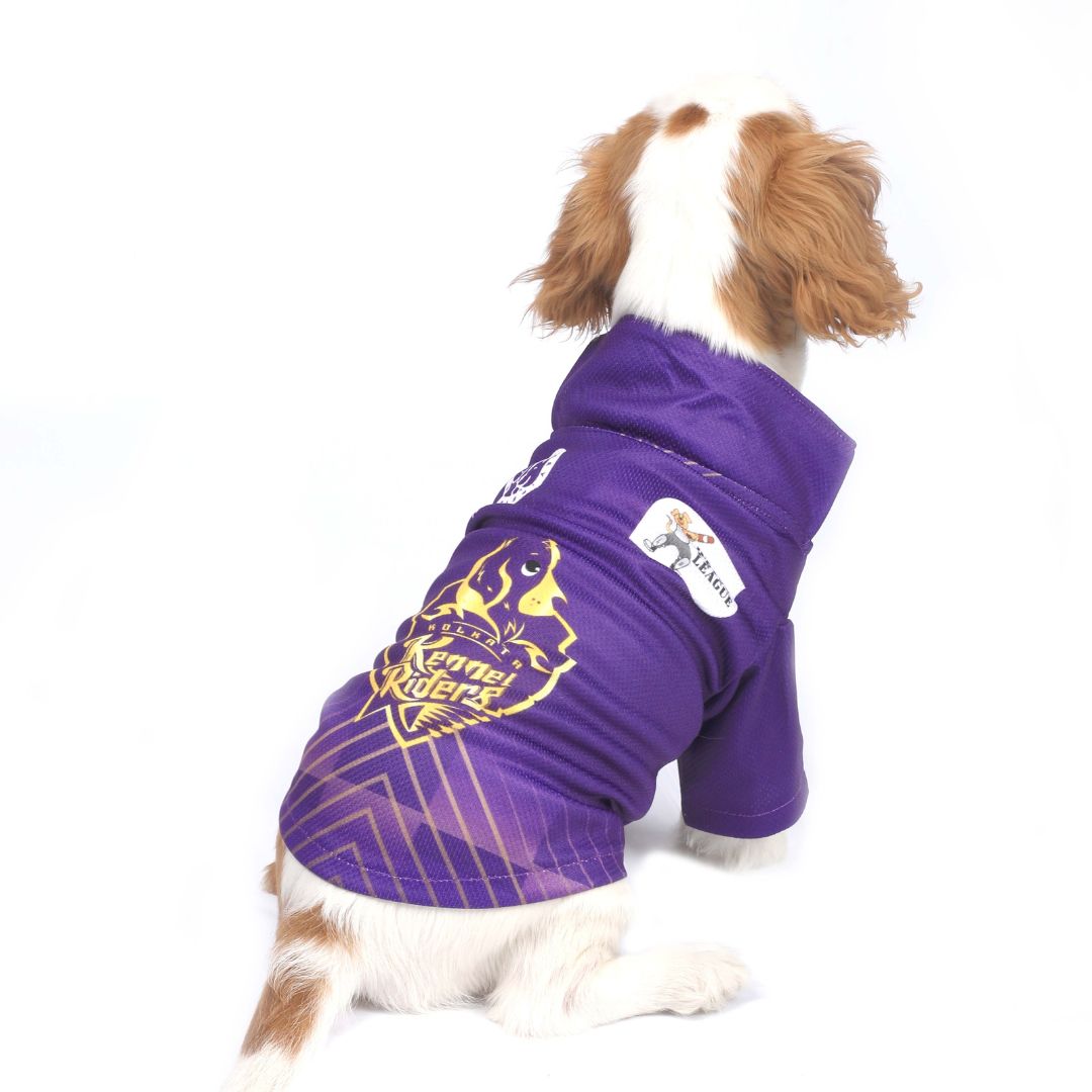 Kolkata Knight Riders Dog Jersey
