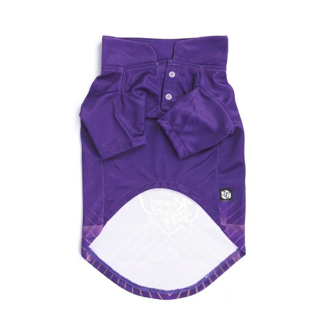 Cricket Team Dog Jersey