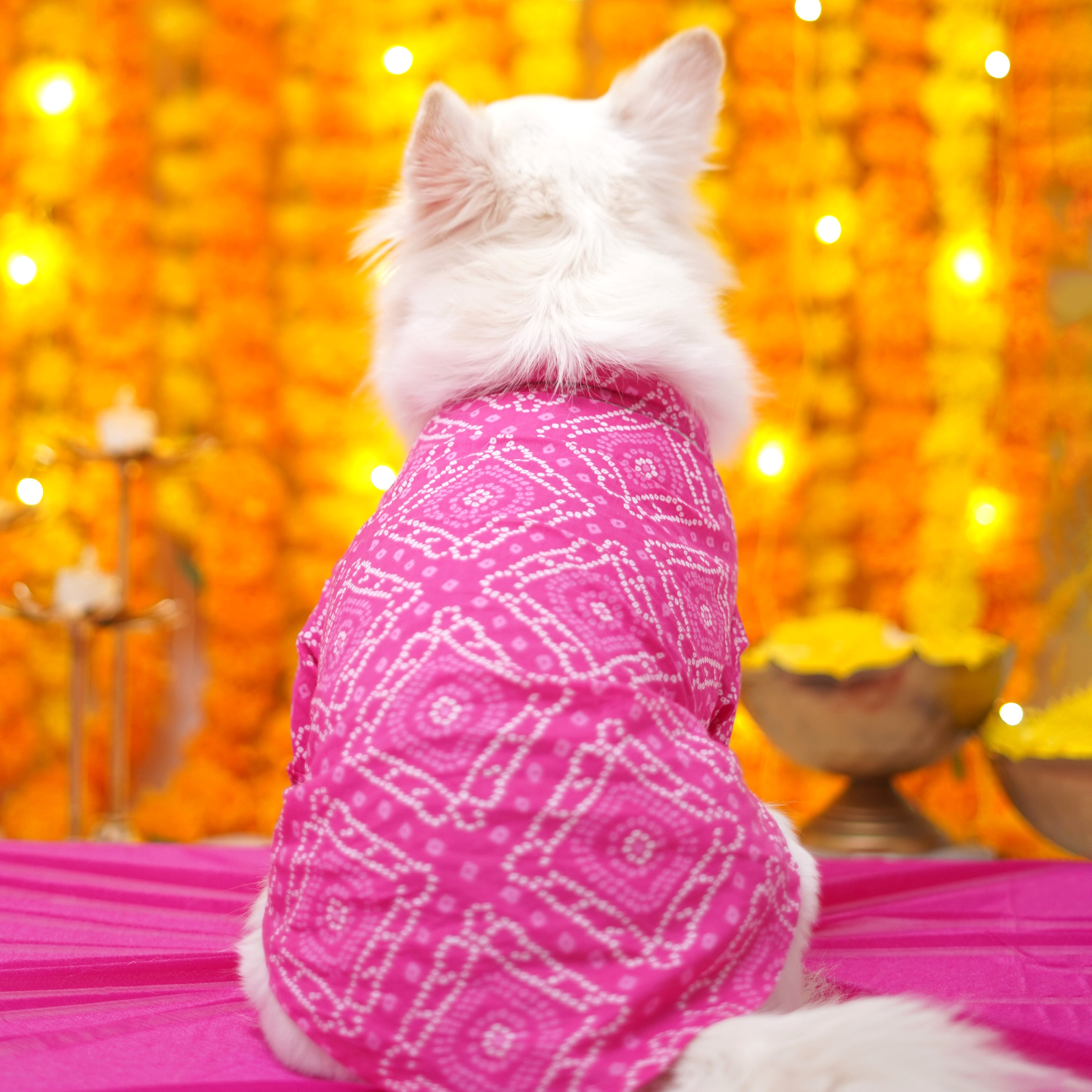 Bandhani - Pink Dog kurta