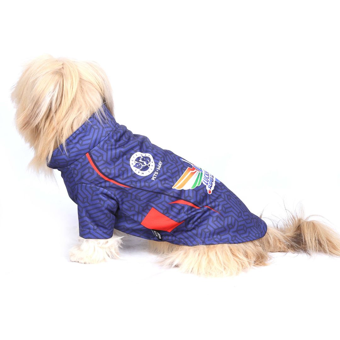 IPL Dog Outfit