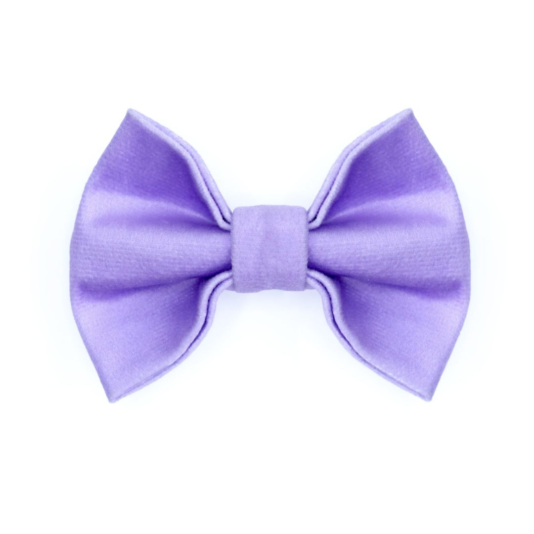 Lavender Luxury Velvet Bow Tie-petsway