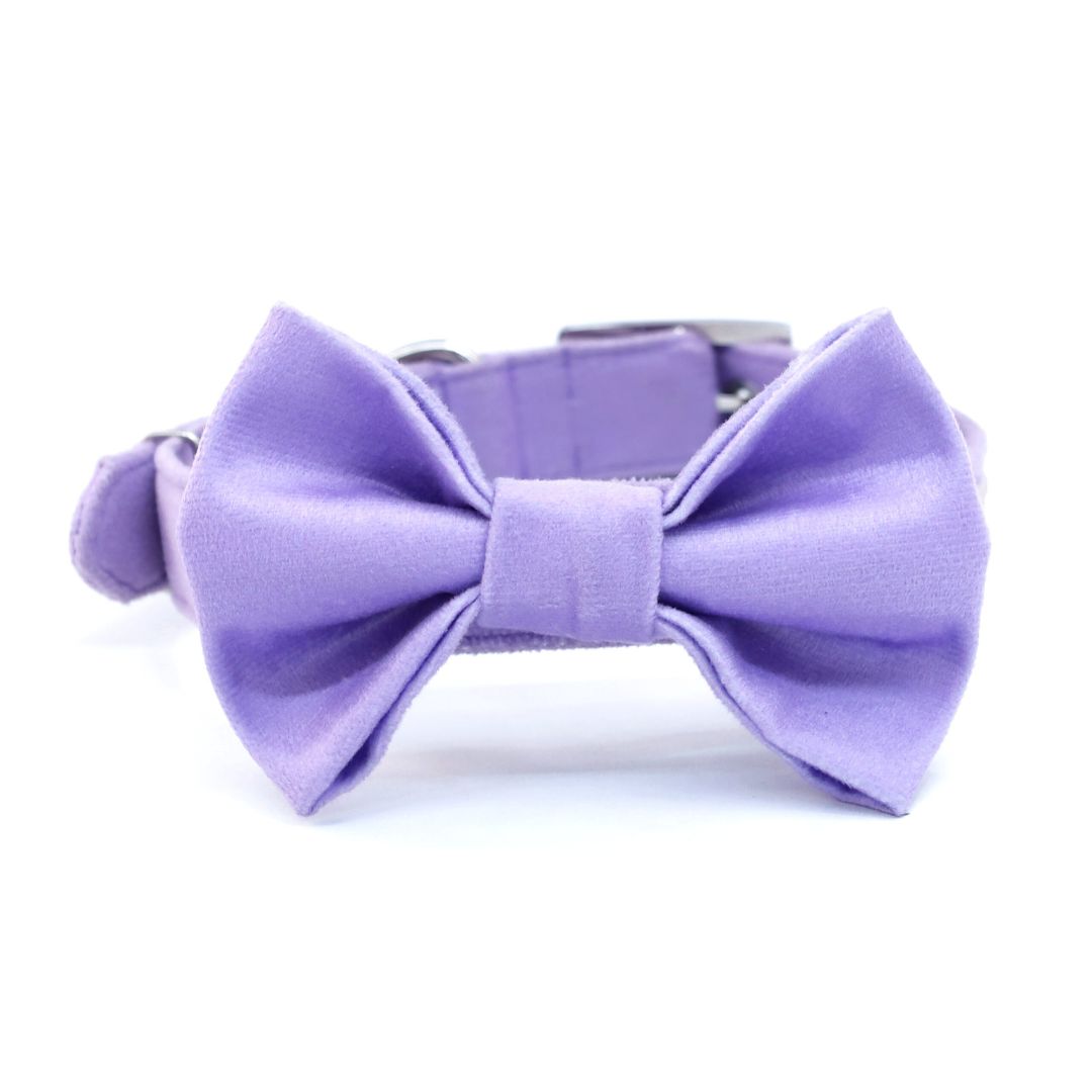 full size of Lavender Luxury Velvet Bow Tie-petsway