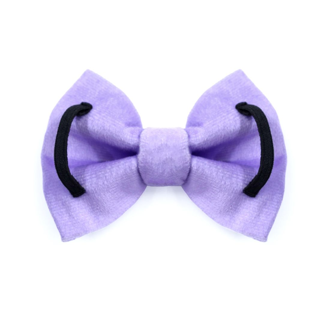 back side of Lavender Luxury Velvet Bow Tie-petsway