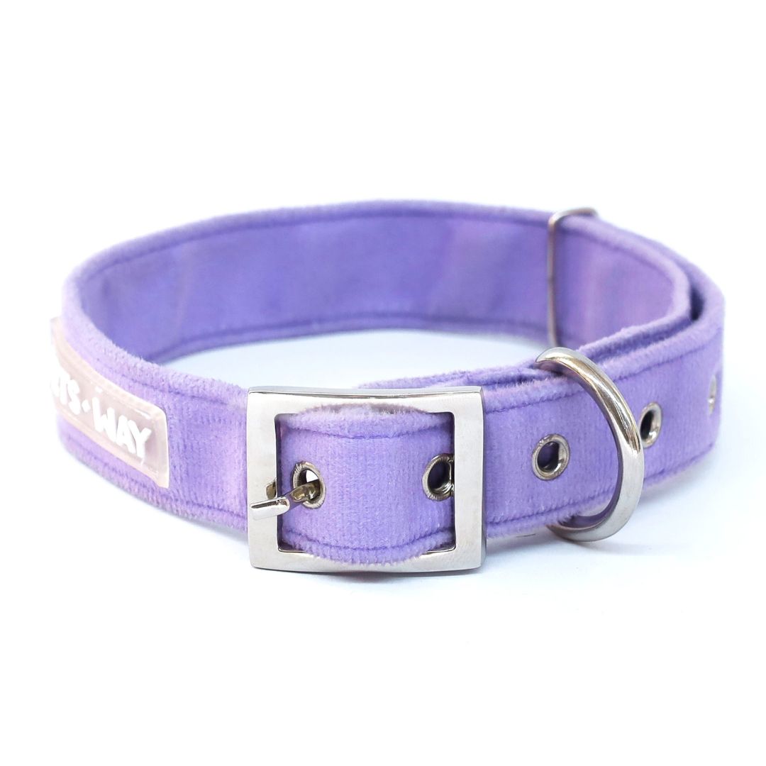 Lavender Luxury Velvet Collar-petsway