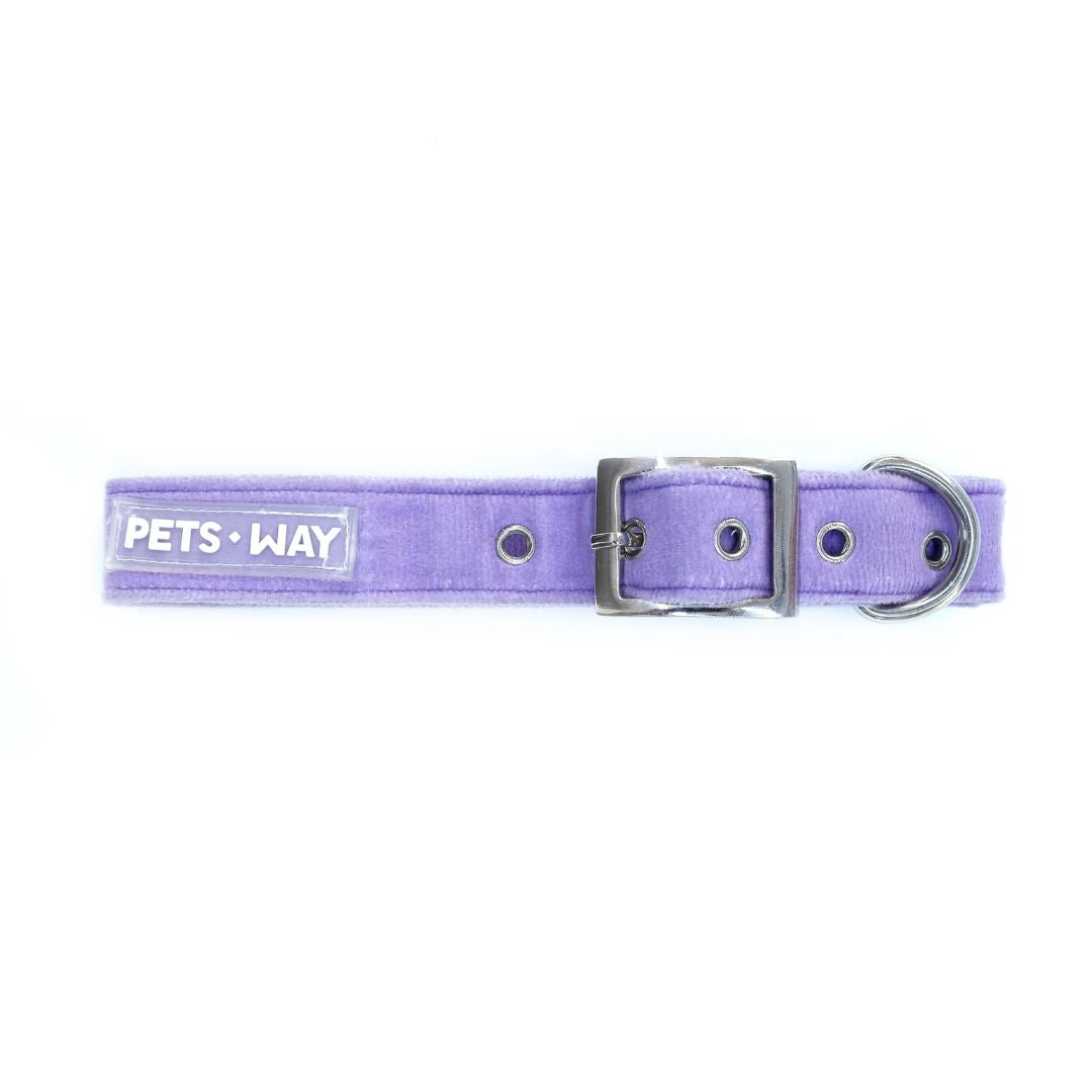 Lavender dog collar-petsway