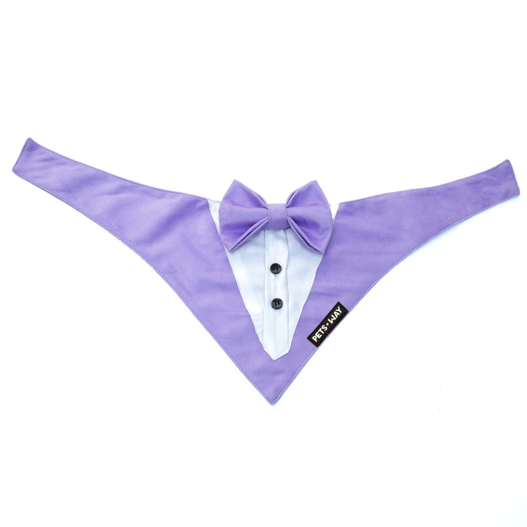 front of Lavender Luxury Velvet Tuxedo-petsway