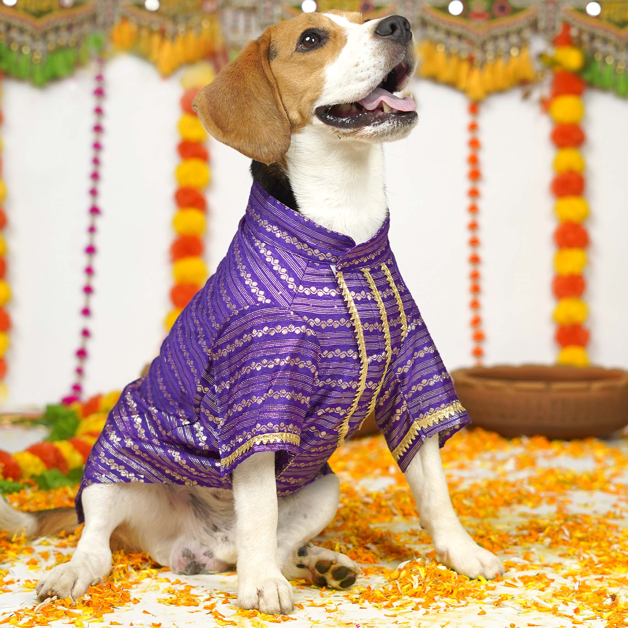 Lehar - Purple Dog kurta