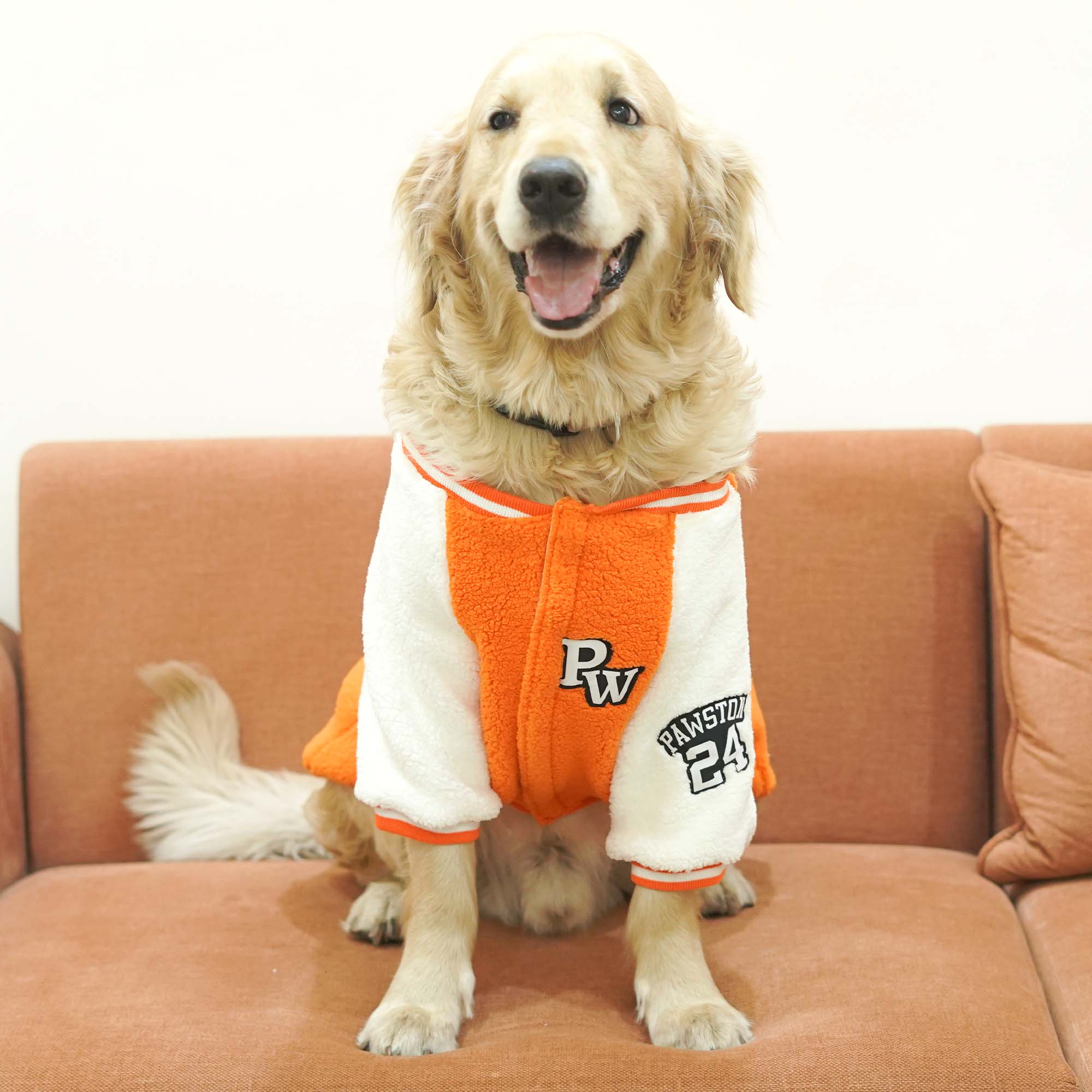 Pawsity – Tangerine Dog Jacket