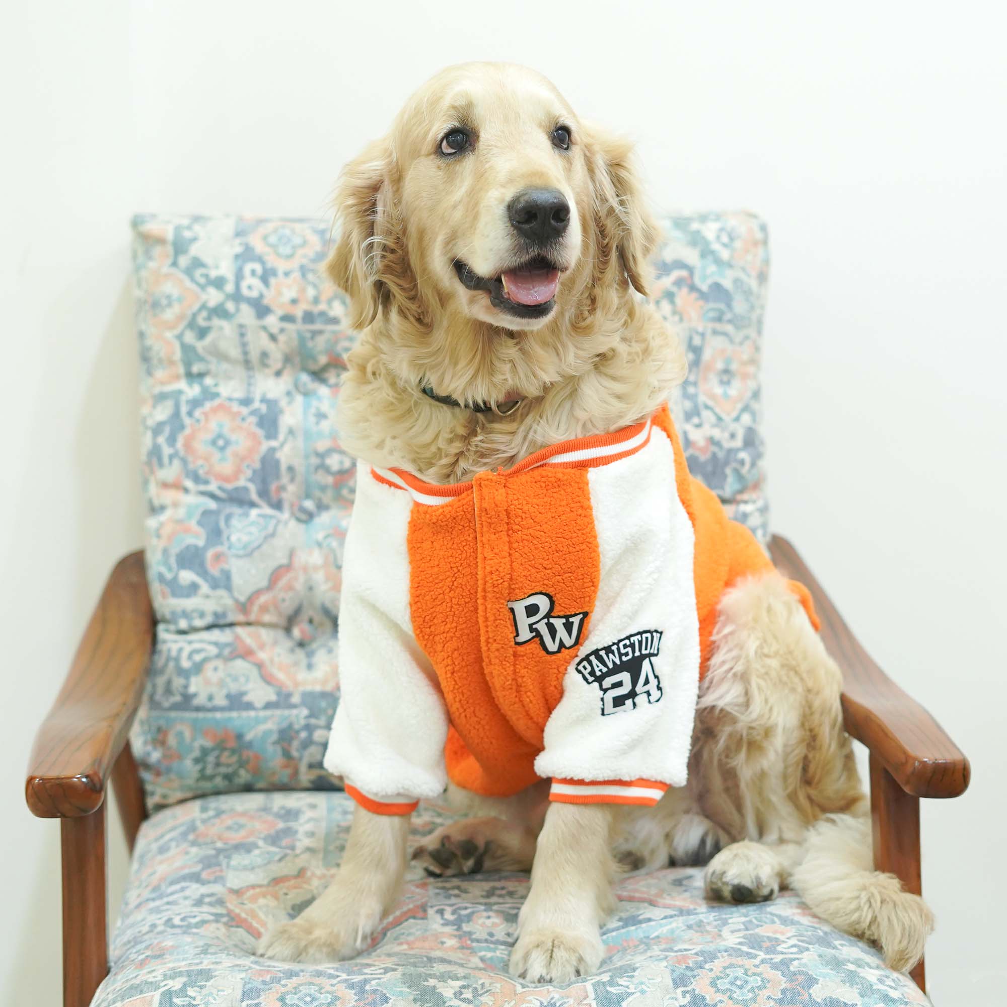 Pawsity – Tangerine Dog Jacket
