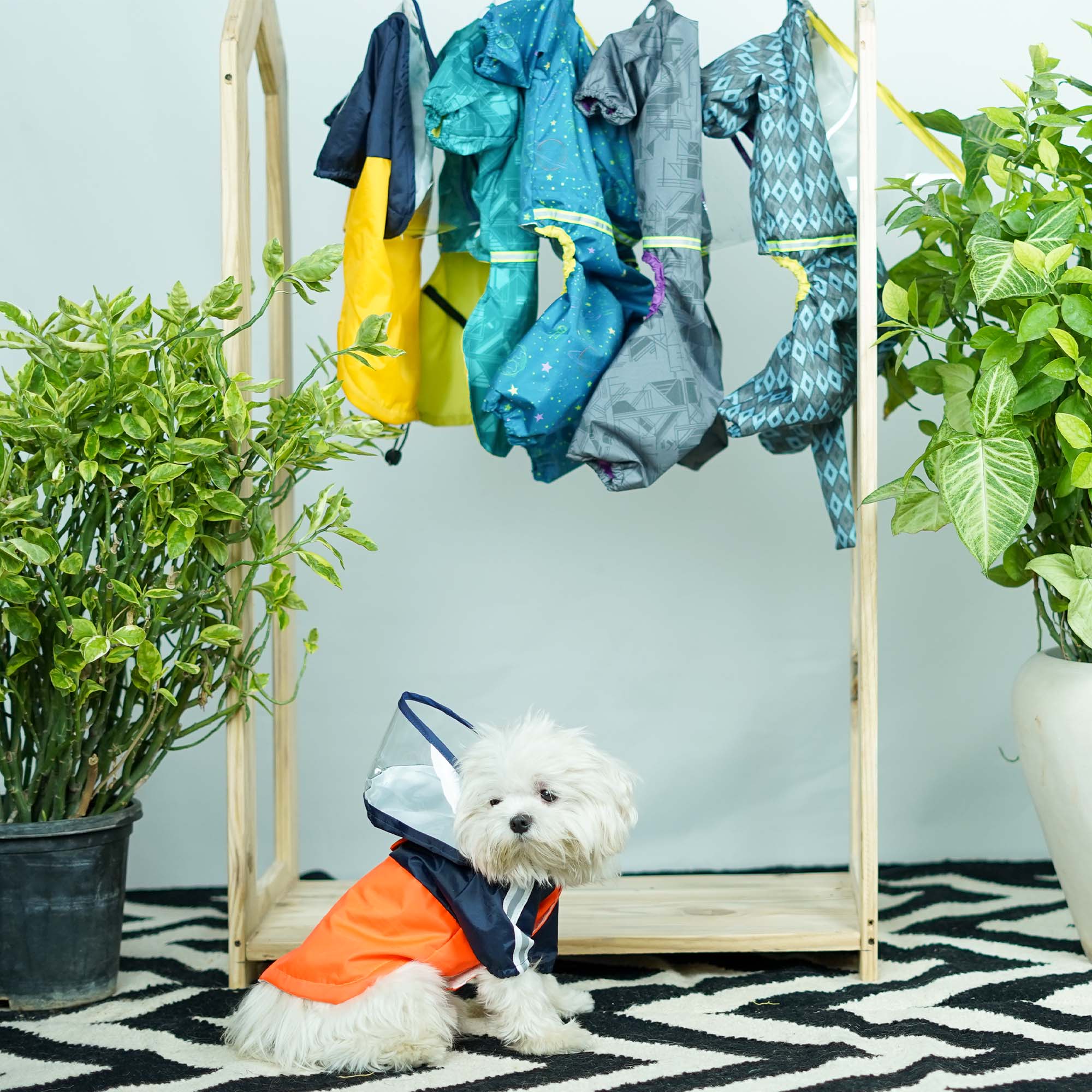 Lava Rainstorm Dog Raincoat