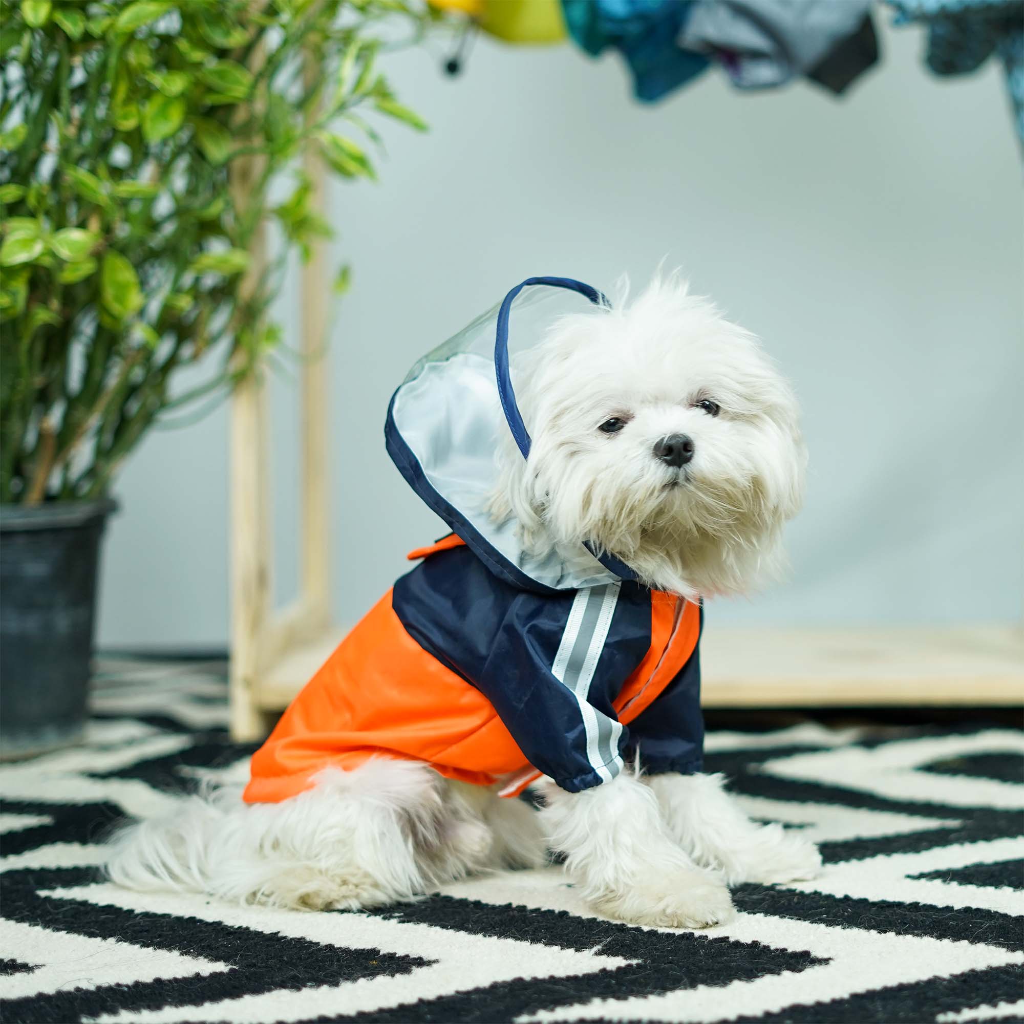 Lava Rainstorm Dog Raincoat
