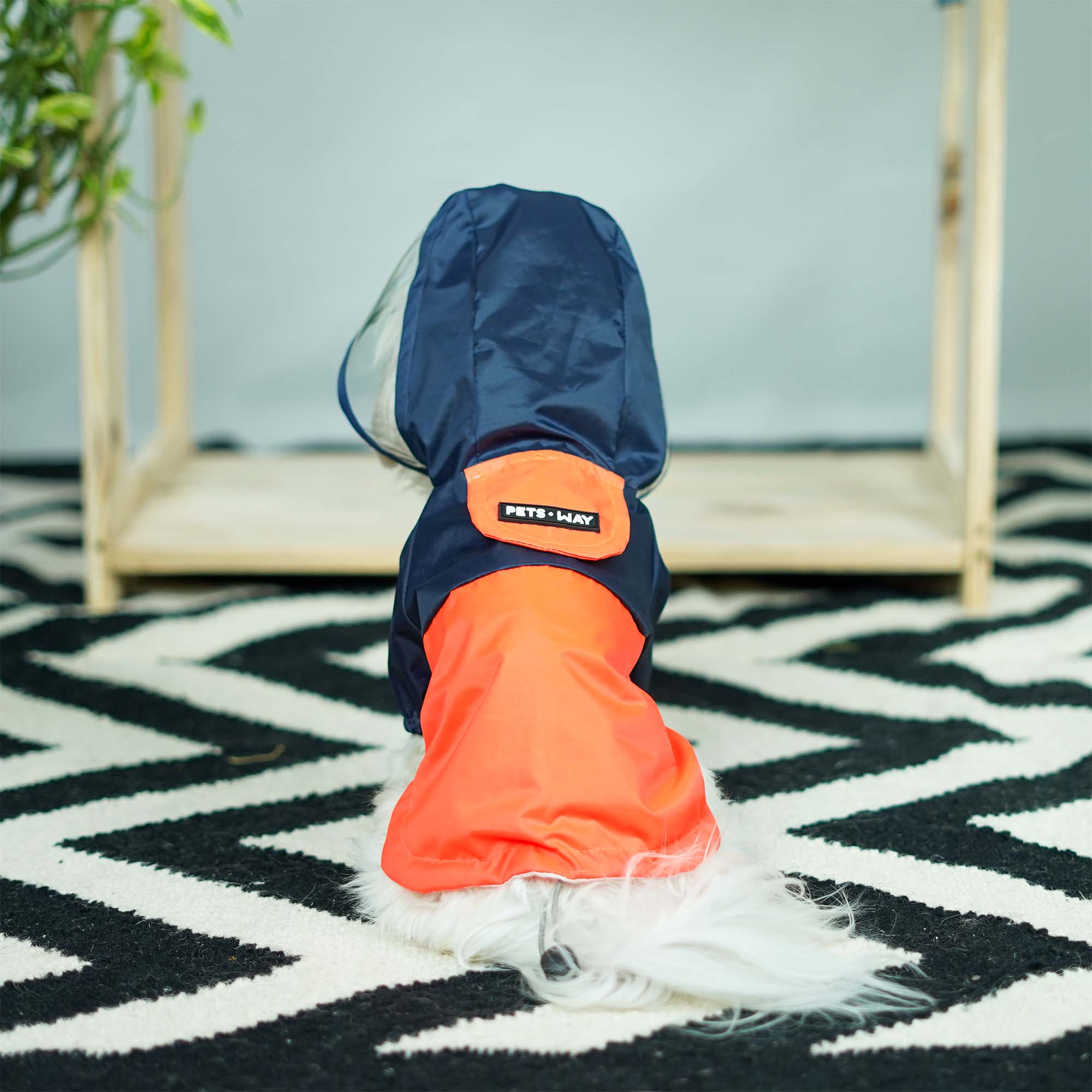 Lava Rainstorm Dog Raincoat