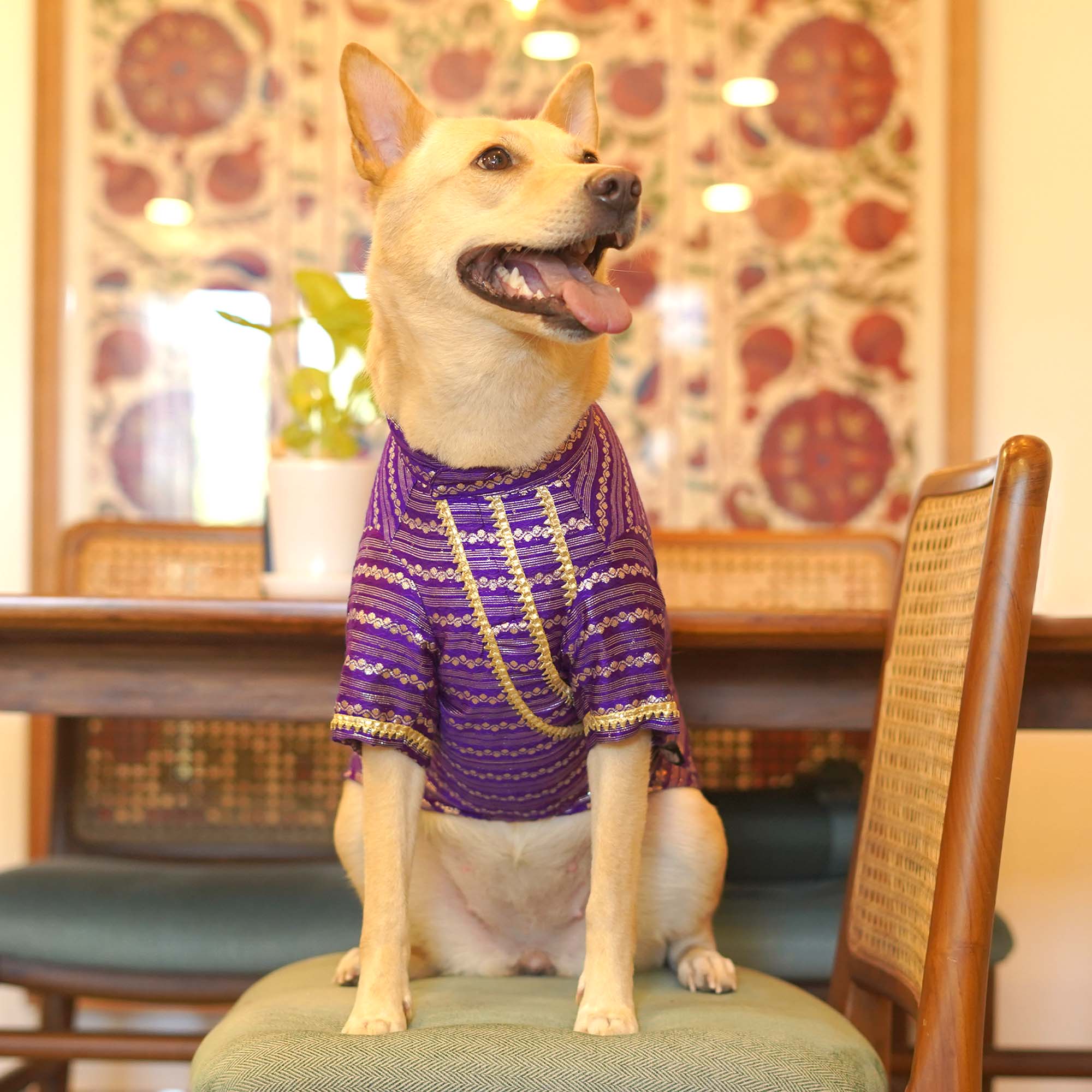 Gulabi Lehar Dog kurta Combo