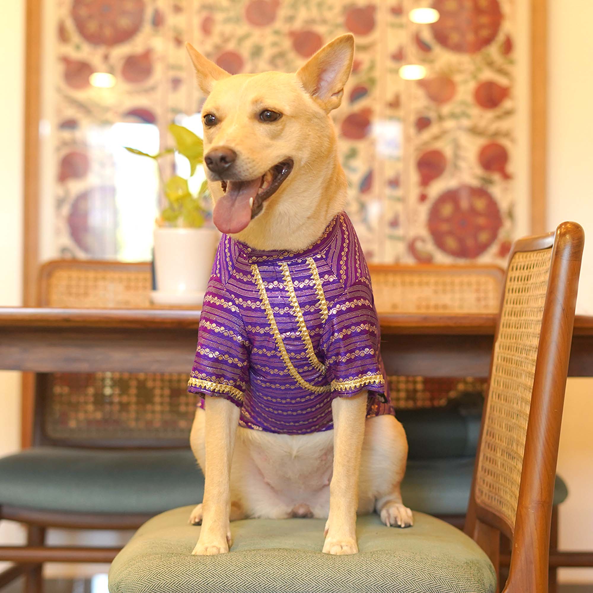 Gulabi Lehar Dog kurta Combo