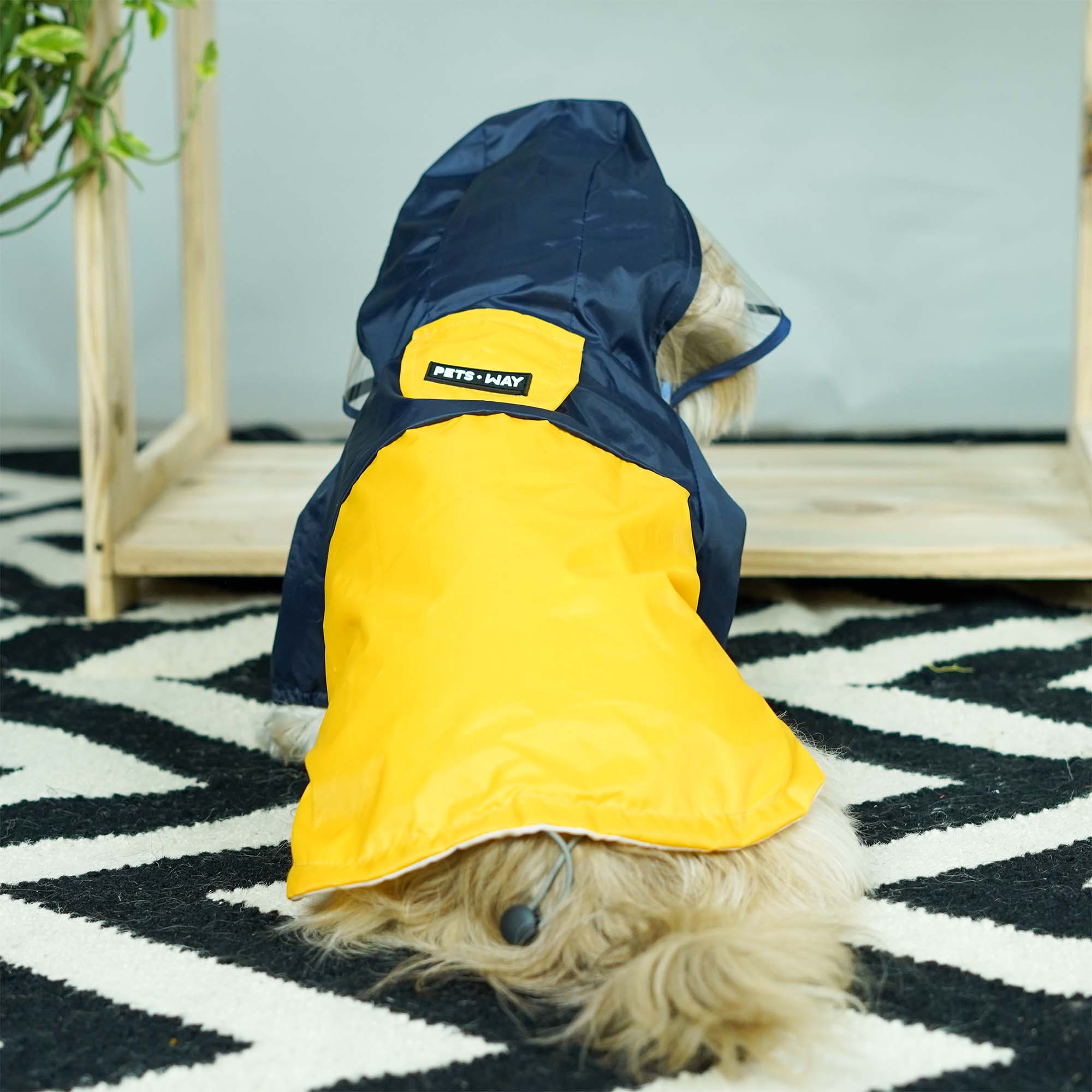Rainstorm Dog Raincoat-Canary