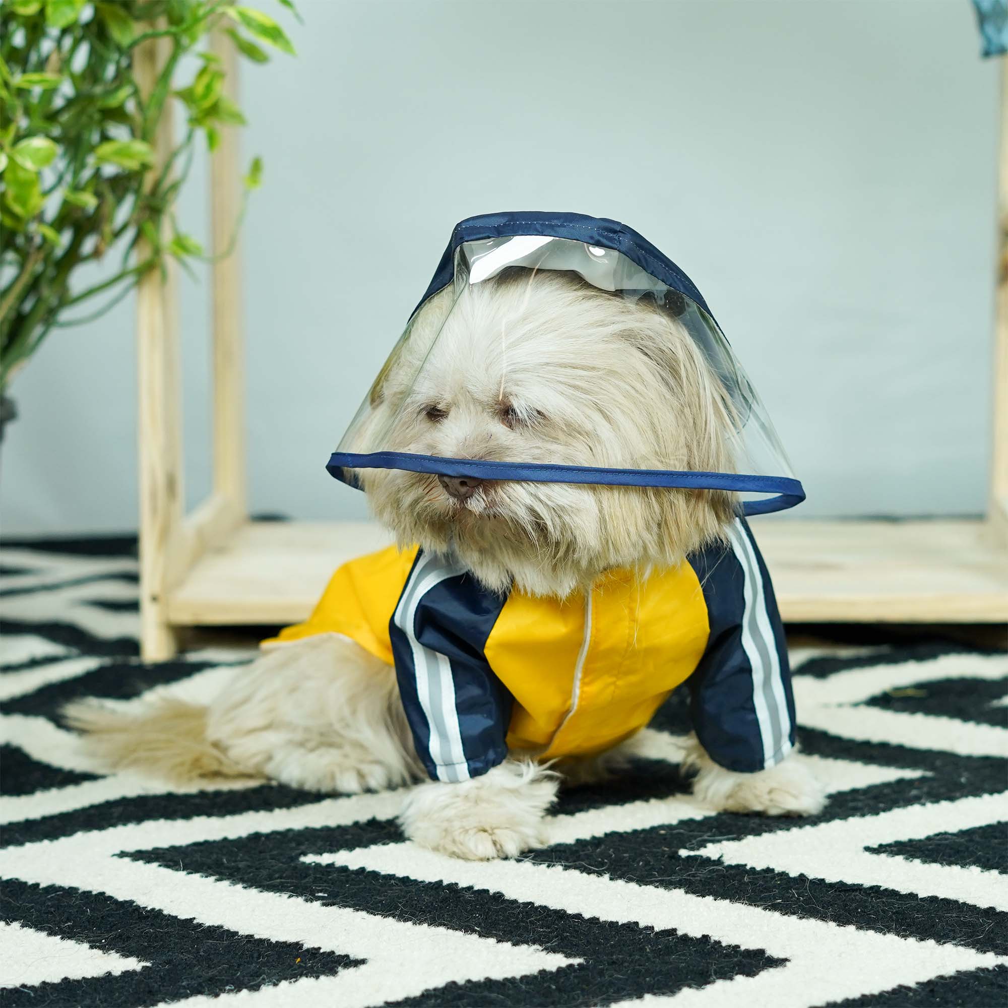 Rainstorm Dog Raincoat-Canary